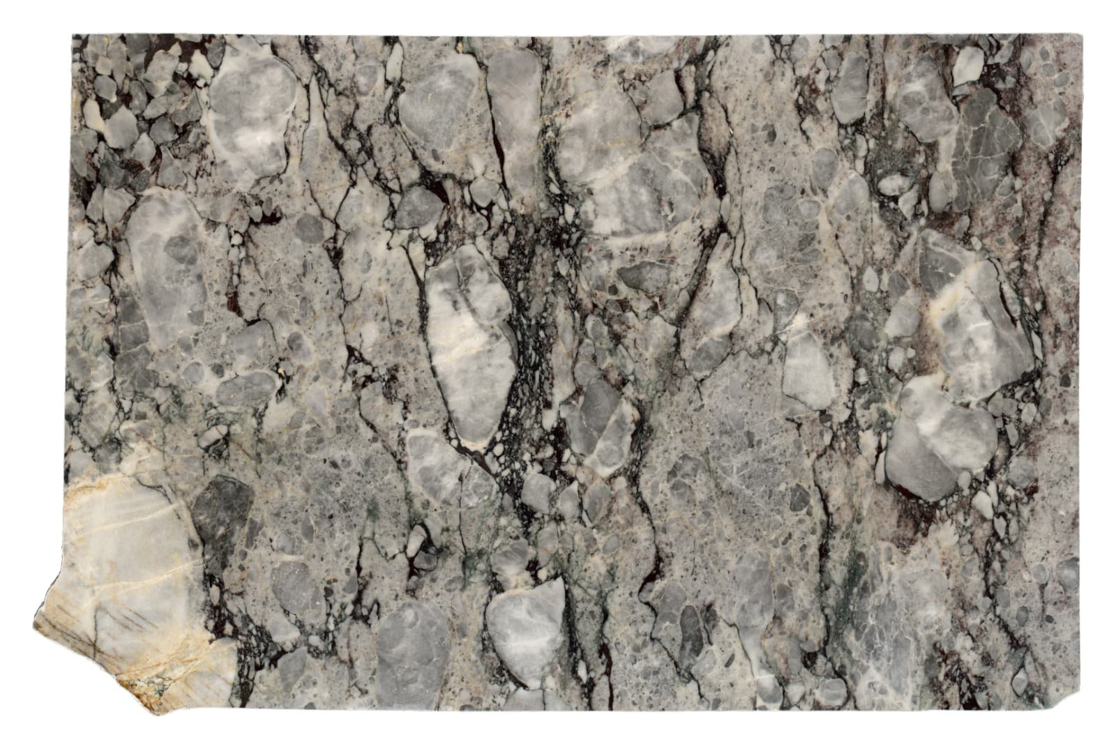 Violet Grey detail 2