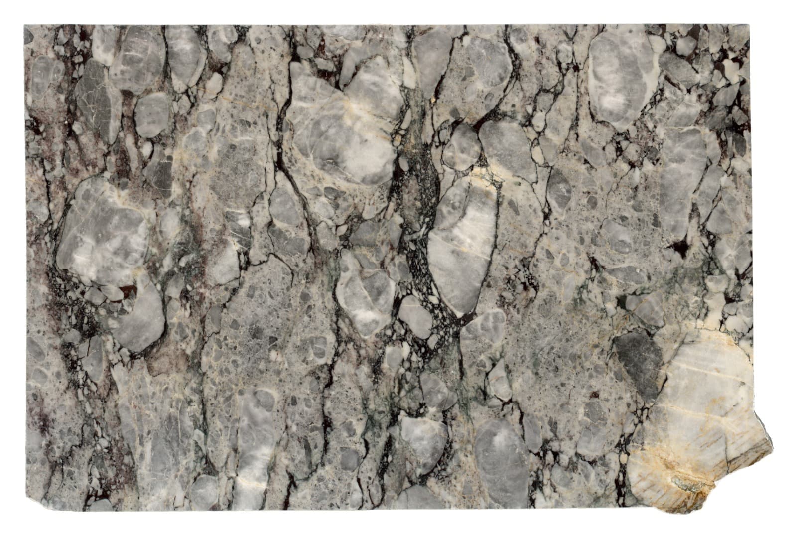 Violet Grey detail 3