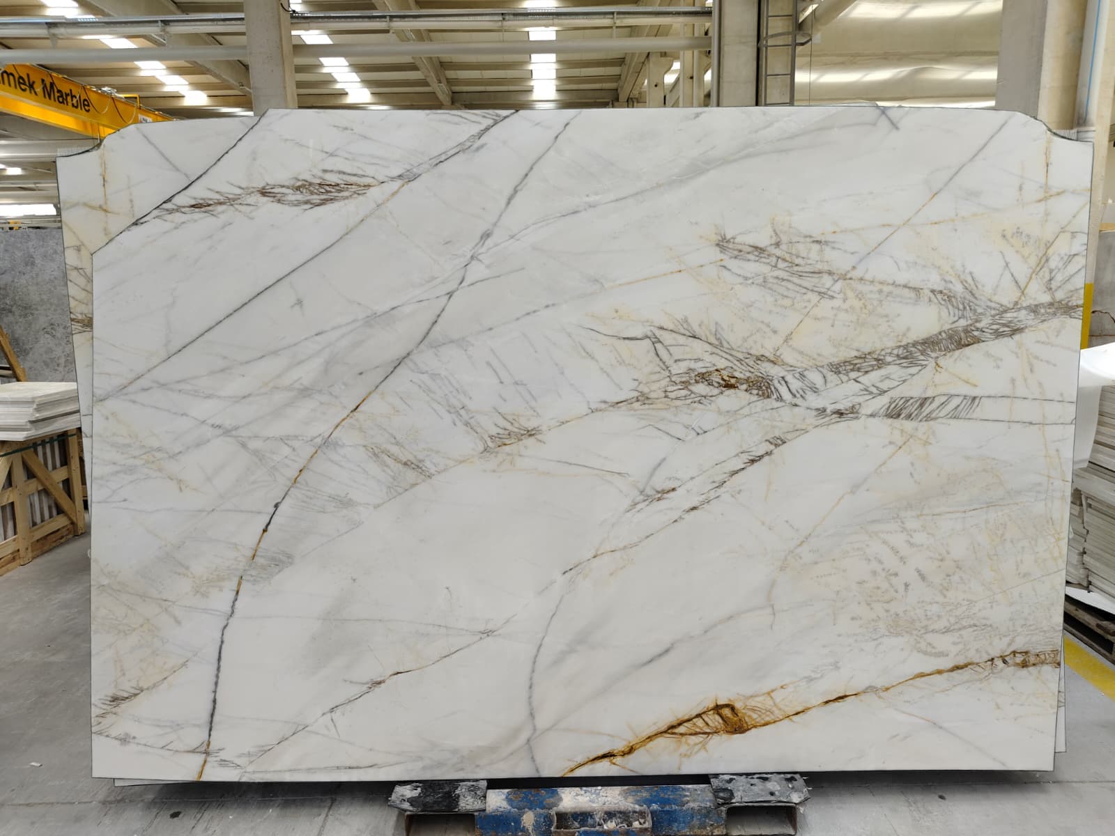 Dolomit Polished detail 3